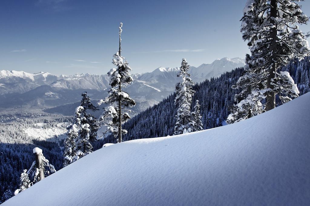Laax Rancho Studio Apartment Camera foto